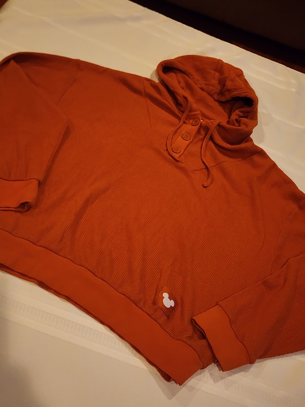 Disney Burnt Orange Hooded Pullover Sweatshirt